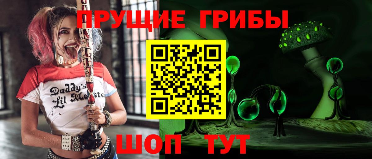 Псилоцибиновые грибы ЛСД  как найти наркотики  Минусинск  Вход с VPN 